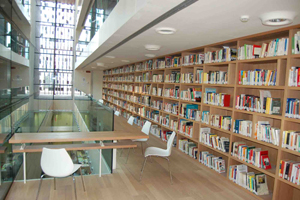 Bibliopride 2014. Giornata nazionale delle biblioteche