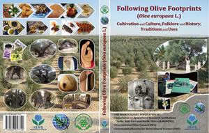 Following Olive Footprints