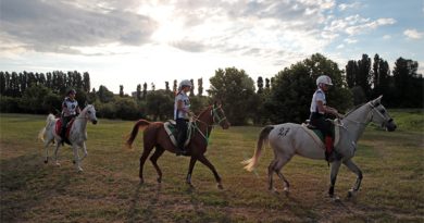 Sport Equestri: Mondiale Endurance 2022